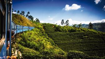Blauer zuf fährt duch die grünen teeplantagen im Hochland von Sri Lanka