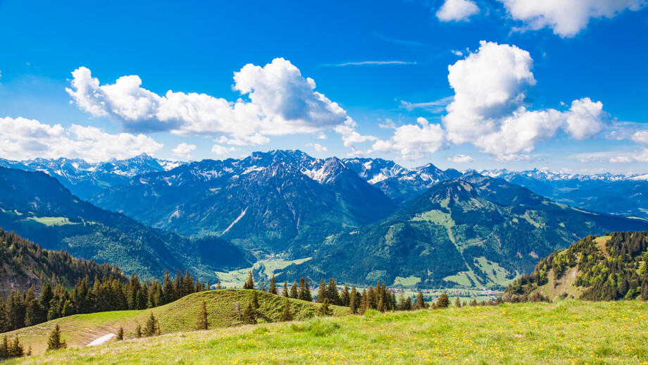 deutschland-allgaeu-sommer-sonne-oberjoch-shutterstock_1261753582.jpg