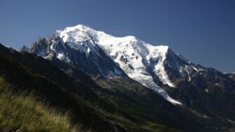 IMG_8811.jpg