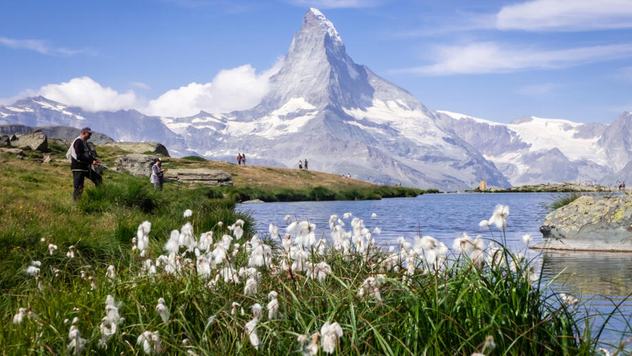 Riffelsee mit Matterhorn