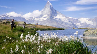 Riffelsee mit Matterhorn