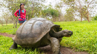 Riesenschildkkröte und Frau mit rotem Oberteil auf grüner Wiese auf Galapagos