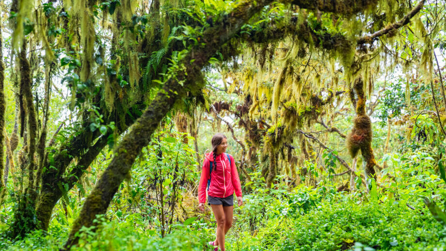 Wandererin mit roter Jacike im grünen Urwald auf dem Galapagos-Archipel