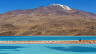 Vulkan Uturuncu mit seiner weißen Gipfelhaube vor einem blauen See