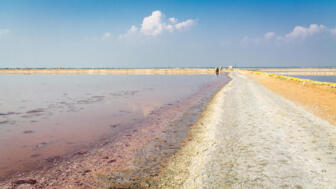 Weitläufige Salzfelder und schimmernde Wasserflächen prägen den Sambhar-Salzsee in Indien. Ein schmaler Damm führt durch die einzigartige Salzlandschaft.