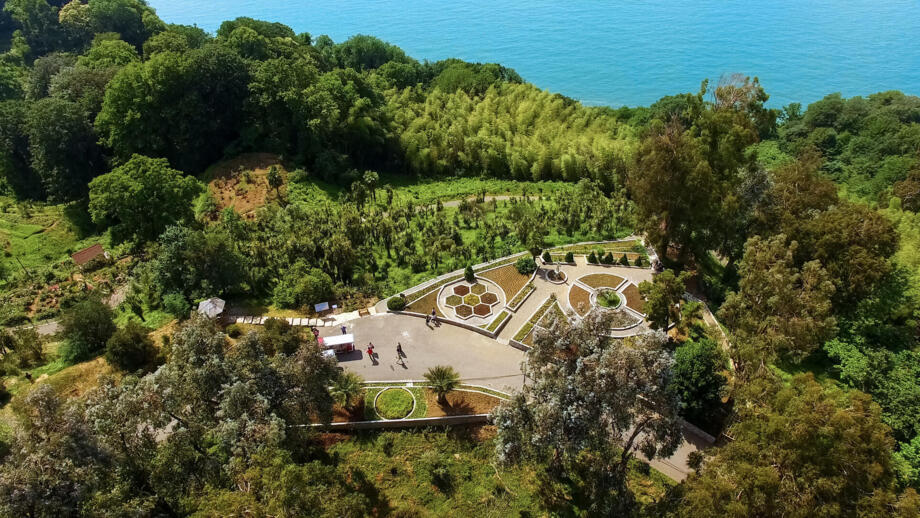 Botanischer Garten bei Batumi mit grünem Baumbestand und angelegten Blumenbeeten direkt über dem Schwarzen Meer