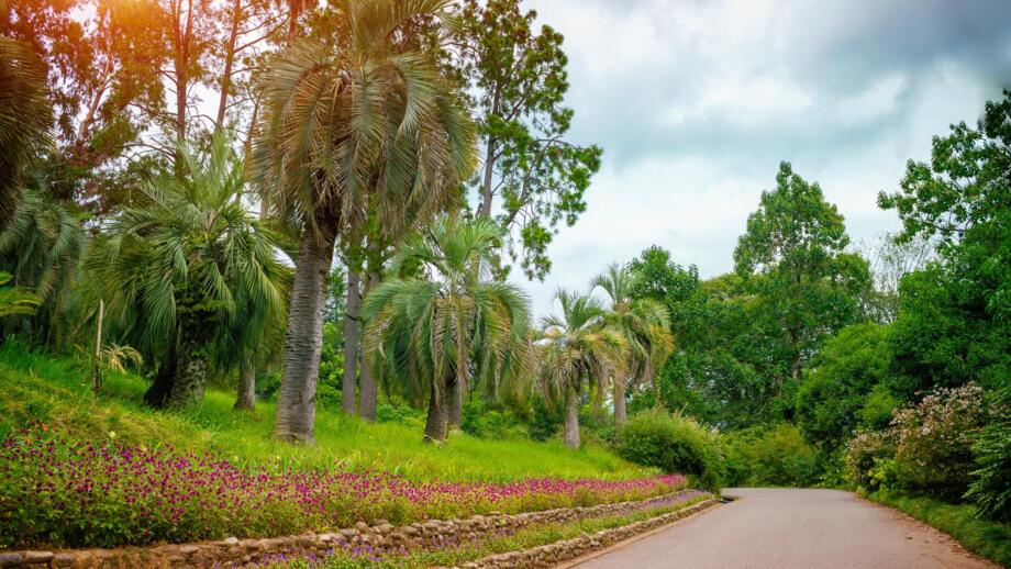 Botanischer Garten bei Batumi mit Blumenbeeten, Bäumen und Palmenbeständen