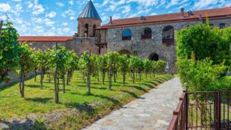 Kloster Alaverdi mit roem Dach, Turm, Einfahrt und grünen Weinreben