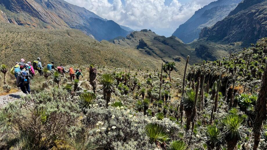 uganda-ruwenzori-ugruw-2025-img_2699.jpg