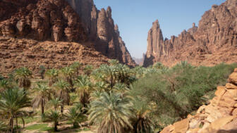 Im Wadi Disah bei Tabul