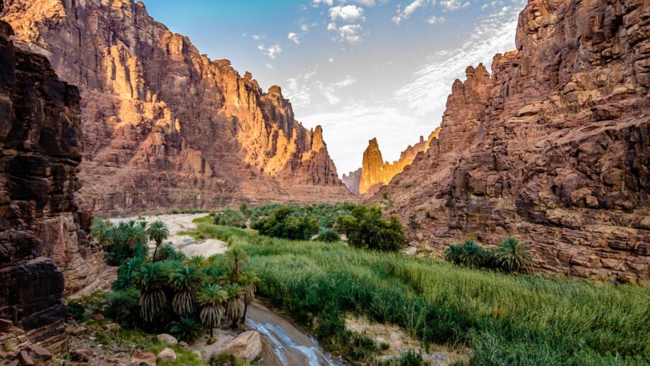 Bezaubernde Oase Wadi Disah