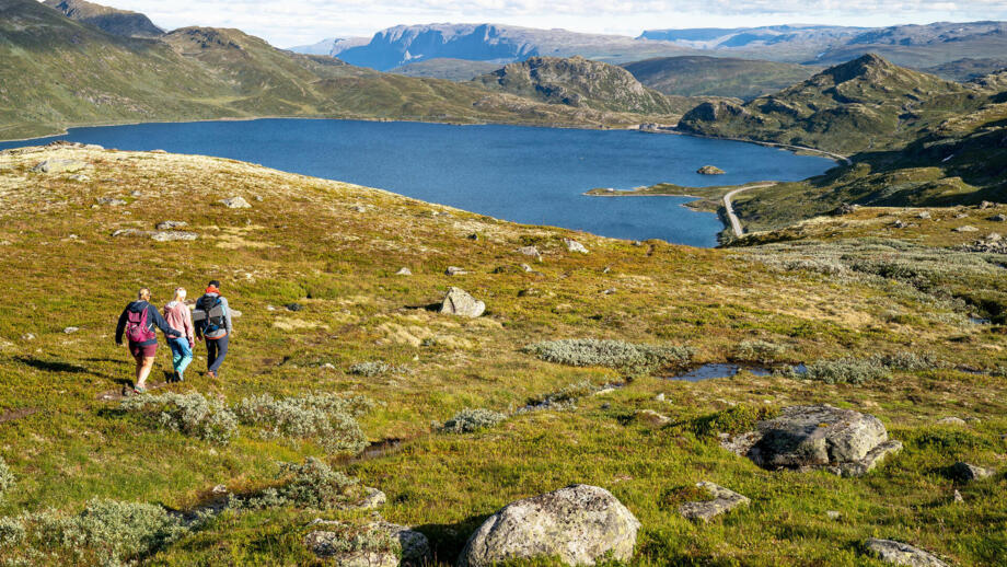 FILEFJELL-TYIN-GREI-SVERREHJORNEVIK-5354-18829116-Foto_Sverre__Hjornevik-3264.jpg