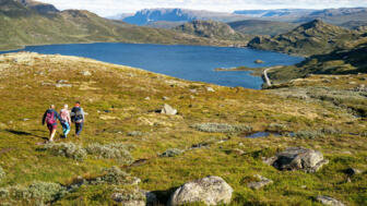 FILEFJELL-TYIN-GREI-SVERREHJORNEVIK-5354-18829116-Foto_Sverre__Hjornevik-3264.jpg
