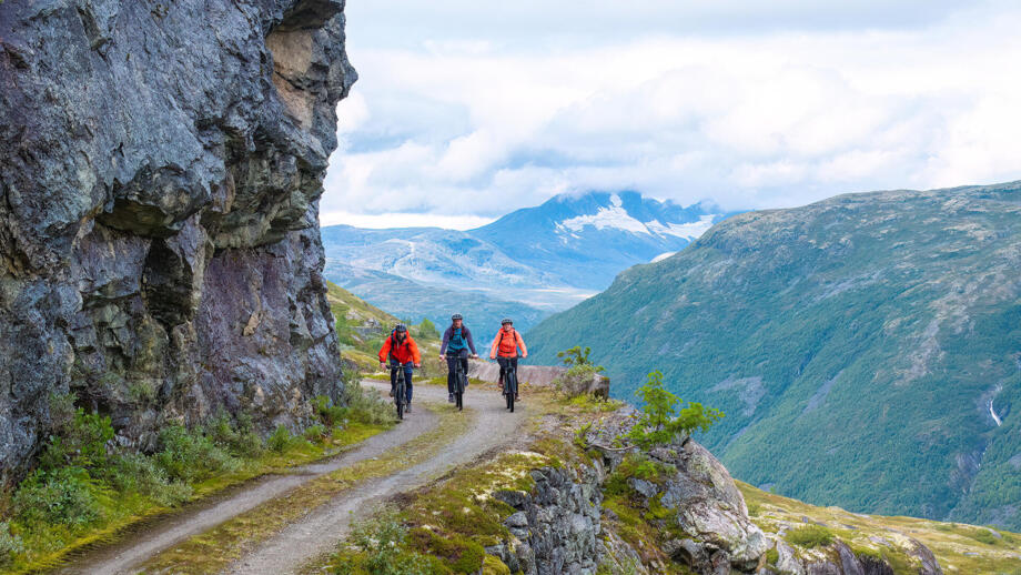 norwegen-filefjell-tusendmeteren.jpg
