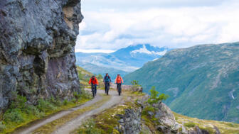 norwegen-filefjell-tusendmeteren.jpg