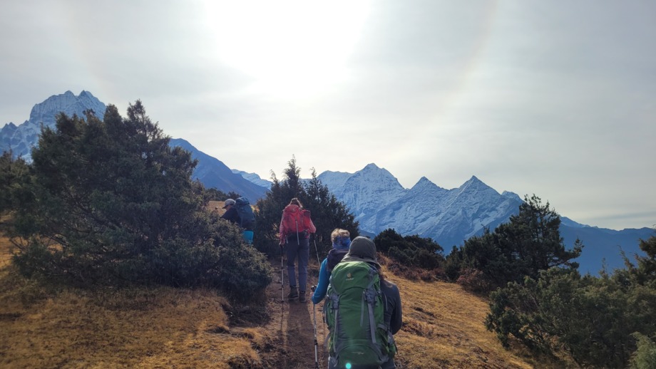 Eine Gruppe Wanderer auf einem Pfad mit Blick auf schneebedeckte Gipfel im Hintergrund