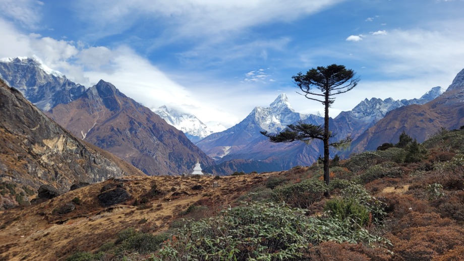 Weiße Gipfel und eine Stupa im Hintergrund, karge Vegetation im Vordergrund