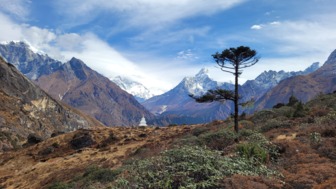 Weiße Gipfel und eine Stupa im Hintergrund, karge Vegetation im Vordergrund