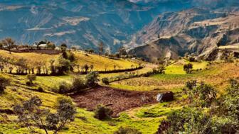 Grüne Berg- und Hügellandschaft in Ecuador