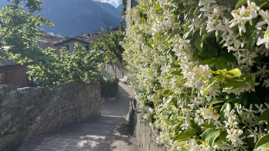 italien-wanderprogramm-hotel-zanella-gardasee-nago-torbole-hhgar-image00081.jpg