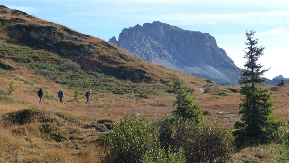 italien-paularo-kswkar-bergsteigerdörfer (30).jpg