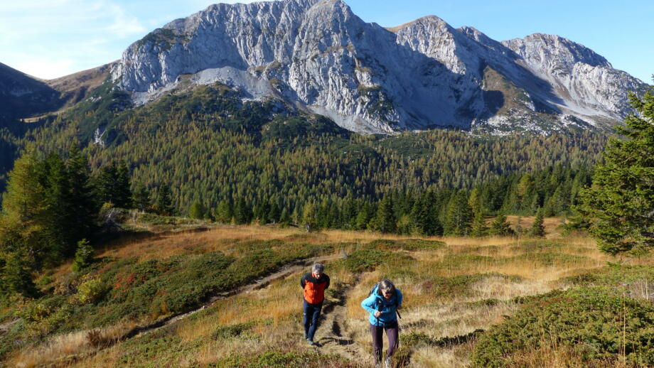 italien-paularo-kswkar-bergsteigerdörfer (28).jpg