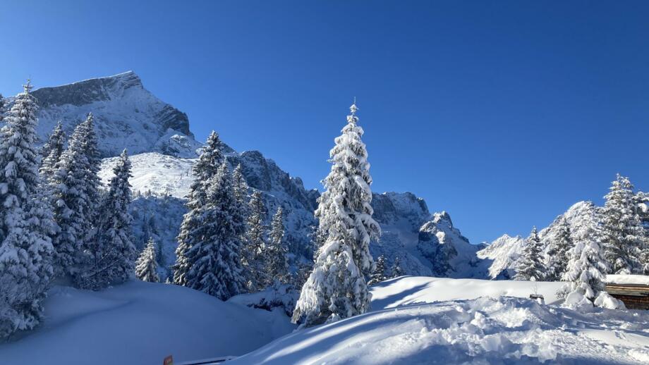 deutschland-kreuzeckhaus-garmisch-partenkirchen-9ktgap (1).jpg