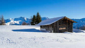 Österreich_Brennerberge_Almis_SWHBREN (30).jpg