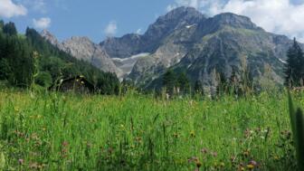 Österreich_Kleinwalsertal_TWIN Wanderprogramm_TWALL_Widdersteinrunde (50).jpg