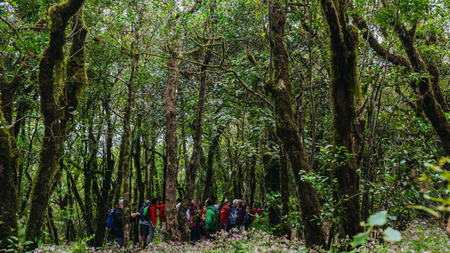 Spanien_Teneriffa_ESTOPte-deporte_senderismo_evento_TWF2015_parque-rural_ANAGA_005_GCE.jpg