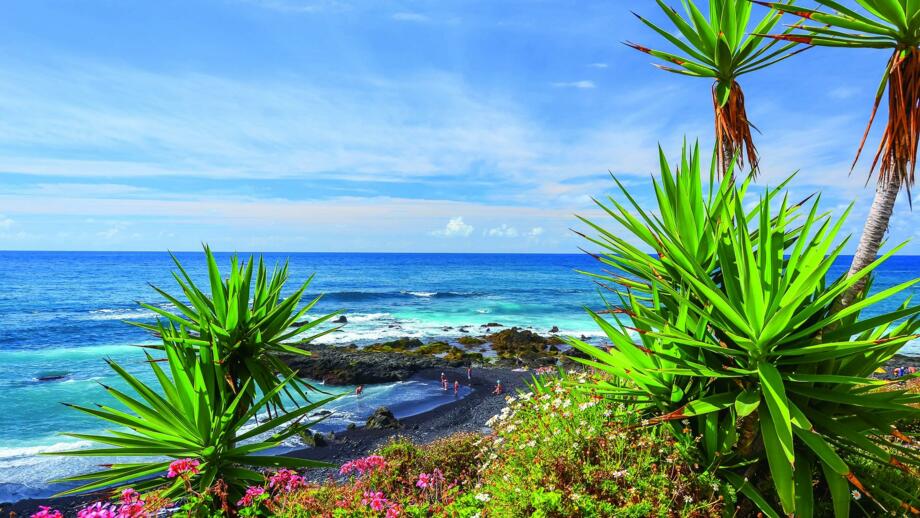 shutterstock-241485676-puerto-de-la-cruz-teneriffa.jpg