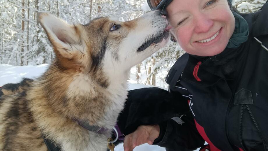 Finnland_Lappland_Huskytour_FIHUN_Huskyliebe.jpg