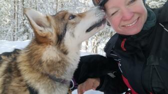 Finnland_Lappland_Huskytour_FIHUN_Huskyliebe.jpg