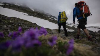 HochwildeWA010.jpg