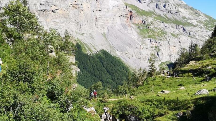 Aufstieg der Gruppe