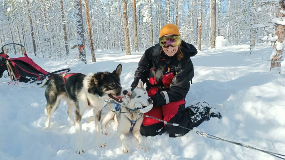 Finnland_Lappland_Huskytour_FIHUN_Huskypflege.jpg