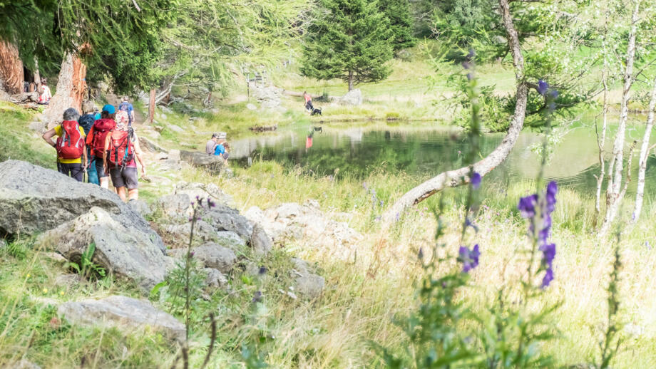 italien-trentino-cogolo-di-peio-genuss-&-kulturwanderung-(4).jpg