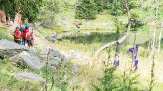 italien-trentino-cogolo-di-peio-genuss-&-kulturwanderung-(4).jpg