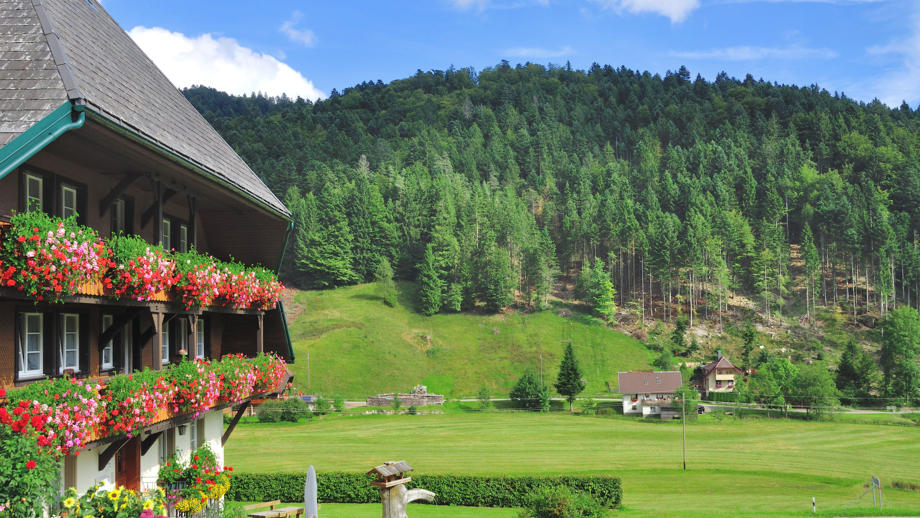 shutterstock-551045572-deschl.jpg
