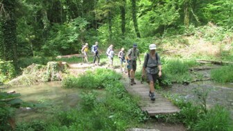 deutschland-schwarzwald-hwschl-schluchtensteig-gruppe-wandern-steg-(25).JPG