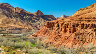 shutterstock_604219532.jpg