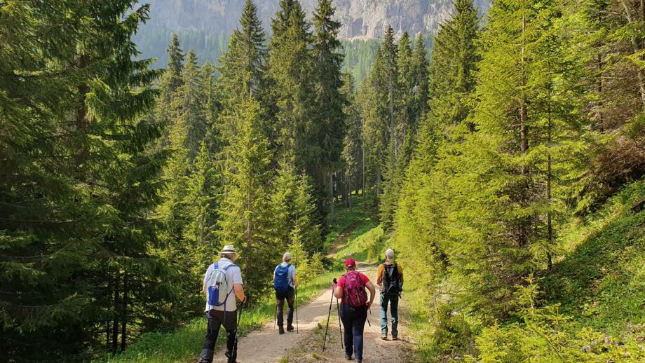 italien-suedtitol-dolomiten-genuss-wandern-sehhdeu (2).jpg