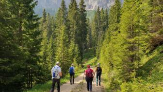 italien-suedtitol-dolomiten-genuss-wandern-sehhdeu (2).jpg