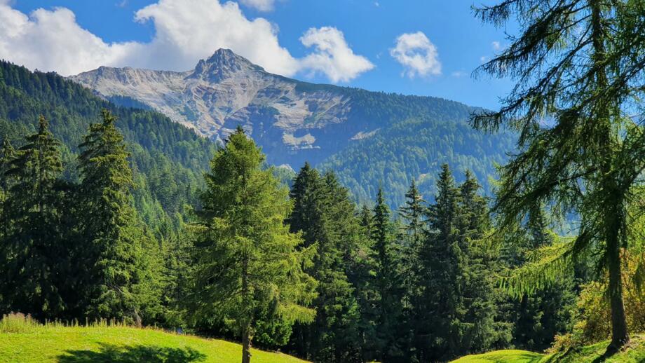 italien-suedtirol-dolomiten-genuss-wandern-sehhdeu-(19).jpg