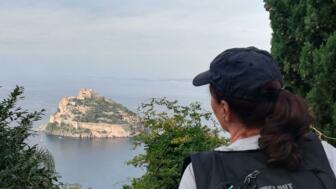Aufnahme eines Wanderers mit Blick zwischen den Bäumen auf eine Insel mit Burgen