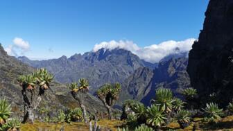 afrika-uganda-bamwanjara-pass-ugruw-tag-6.jpg