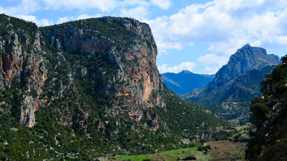 marokko-rif gebirge-shutterstock_779426755.jpg