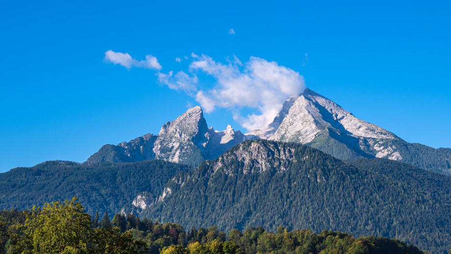 shutterstock-1840354996.jpg