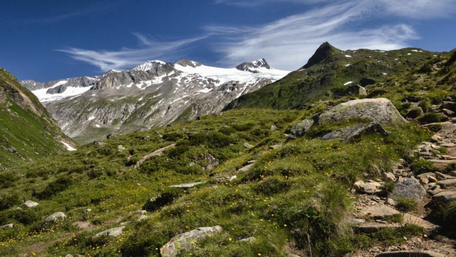 shutterstock_520615933.jpg