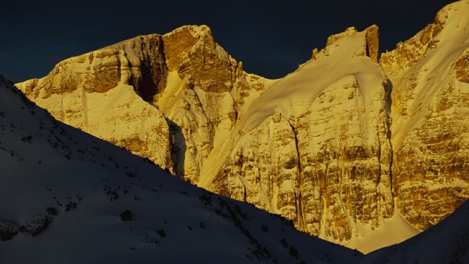 DalfazerLA001.jpg